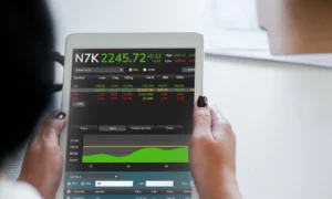 Foundational Stock Market Insights: An Introductory Guide for New Investors